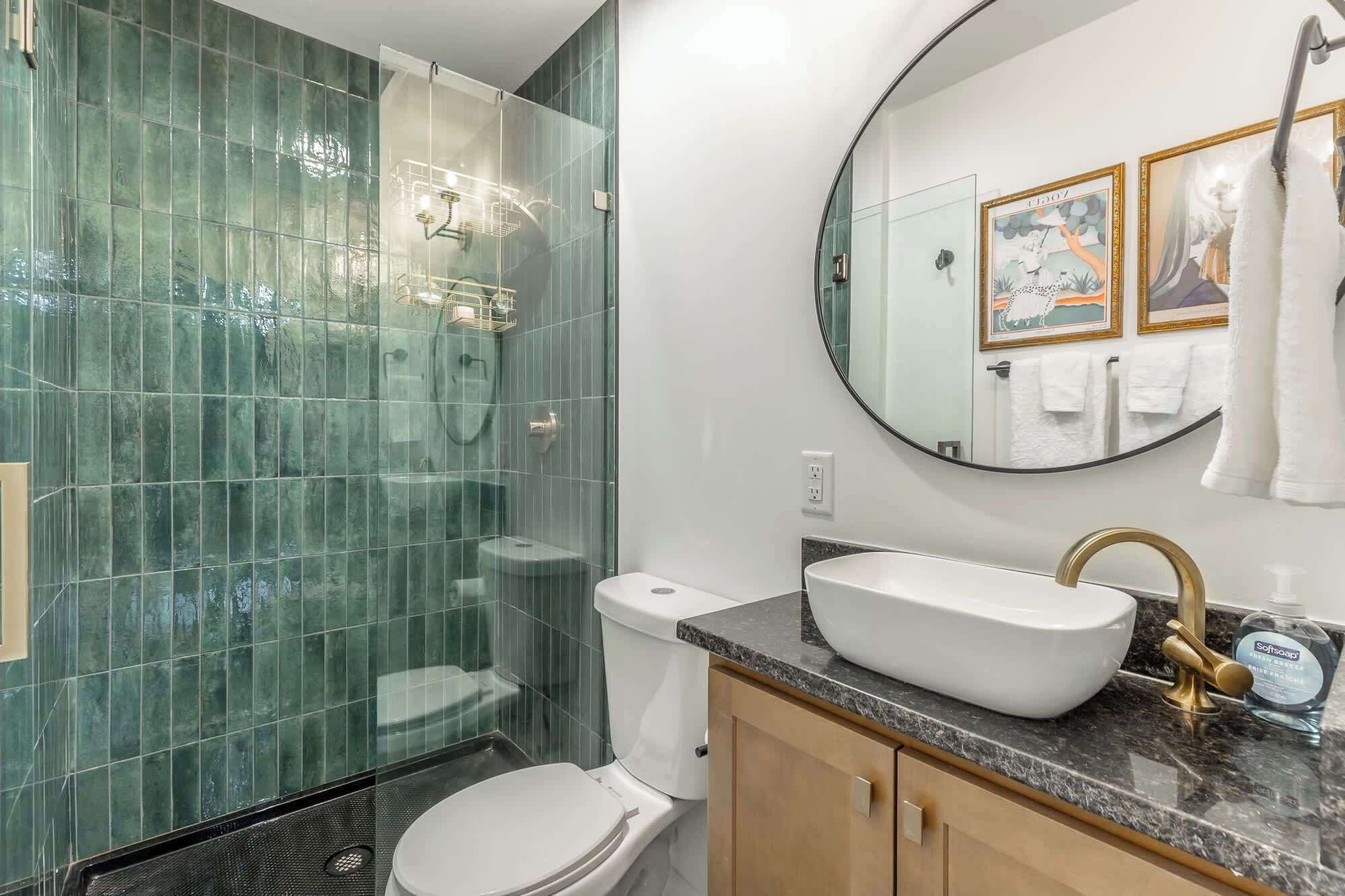 Shower, hair dryer, towels, shampoo