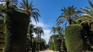 A pathway flanked by neatly trimmed hedges and palm trees, with benches along the sides. - Bajo Teatro Falla by Cadiz Time (Ciudad de Cádiz)