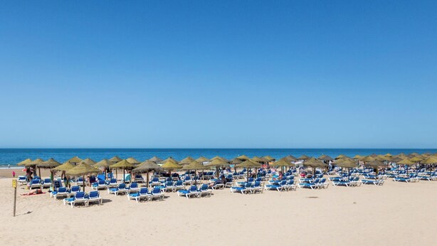 A beach with rows of blue lounge chairs and thatched umbrellas. - Delfin Azul 2 FREE PARKING by Cadiz Time (Cádiz)