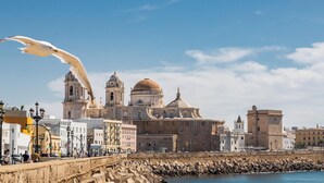 Et kystlandskab med historisk arkitektur, herunder en markant kirke med kupler og klokketårne, en klippefyldt strandpromenade og en måge i flugt.