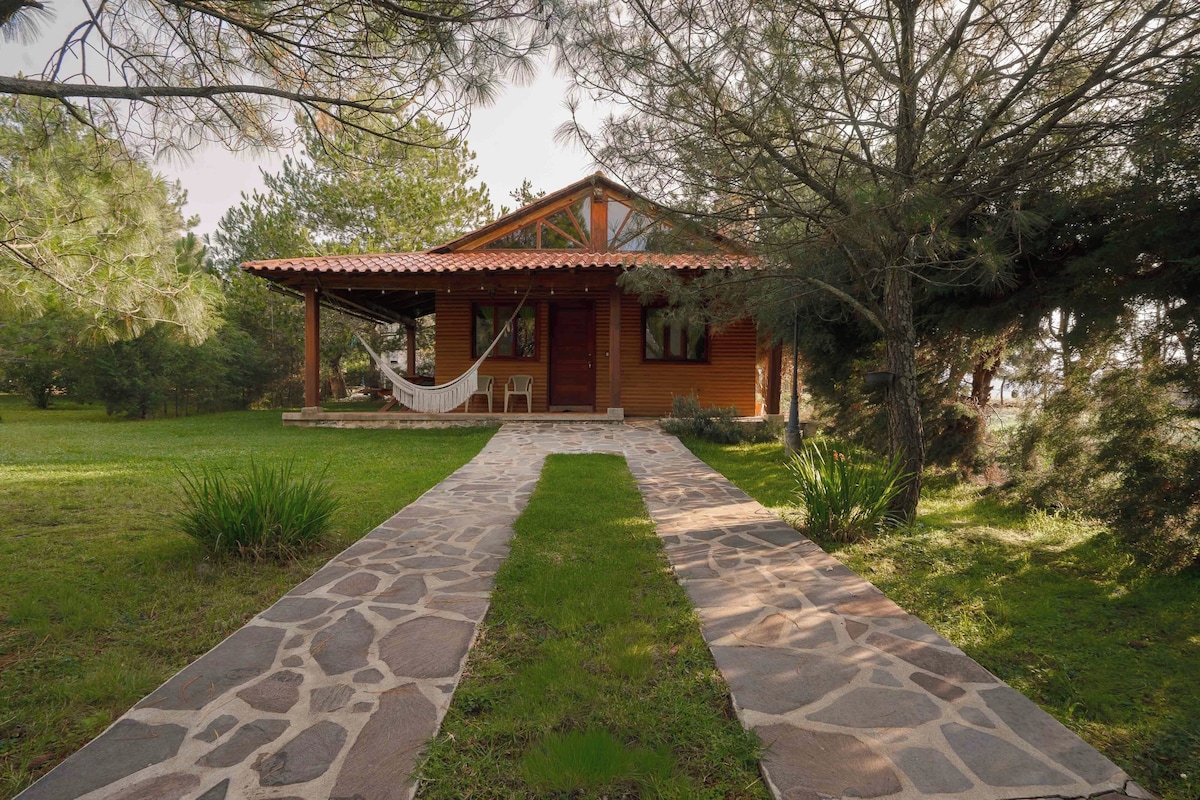 A wooden cabin with a stone pathway leading to the entrance, surrounded by trees and grass.