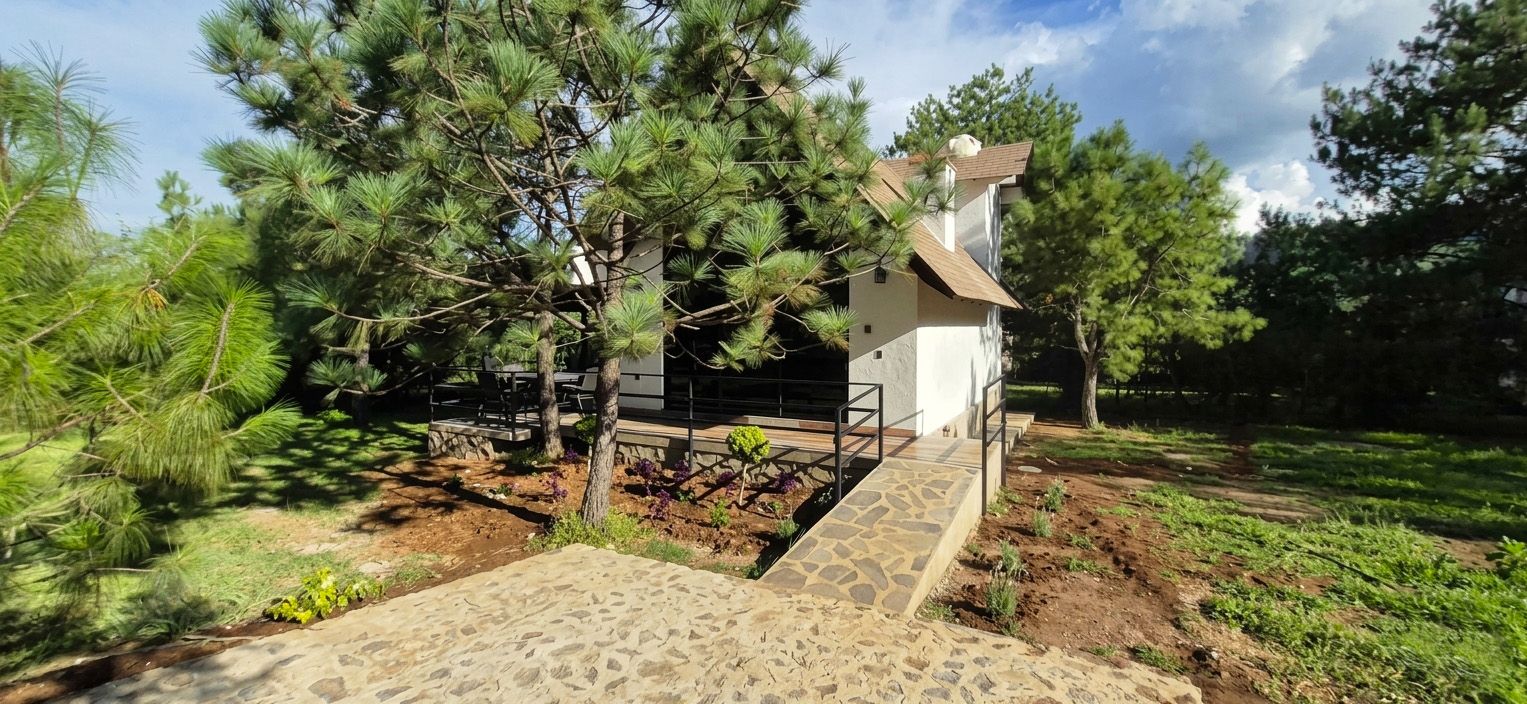 Un pequeño edificio con una escalera de piedra que lleva a una puerta de madera, rodeado de pinos.