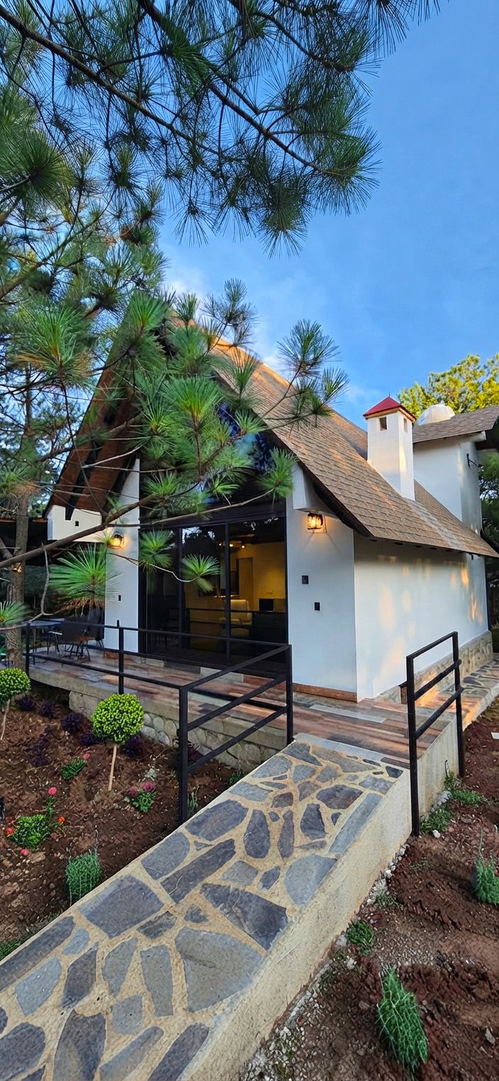 A modern house with a stone pathway leading to the entrance, surrounded by pine trees.
