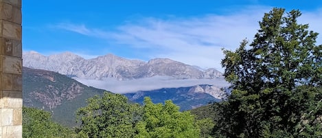 Àrea exterior de l'allotjament