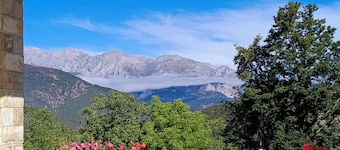 Apartment with views to the Picos de Europa 4 pax - 1
