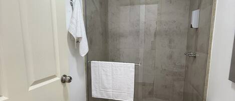 Un baño con ducha vidriada, inodoro y puerta blanca.