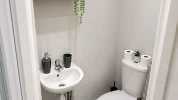 Hair dryer, bidet, towels, soap