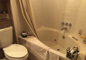 Shower, hair dryer, shampoo