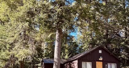 Birch at Hiawatha Cabins