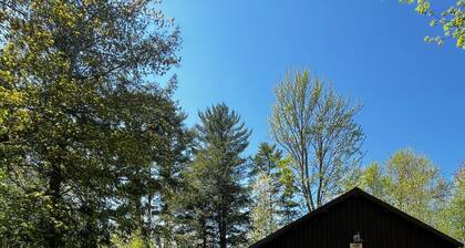 Pine at Hiawatha Cabins