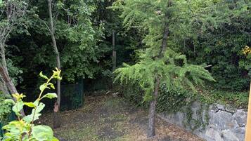 A garden area with dense foliage, a stone wall, and a wooden fence.
