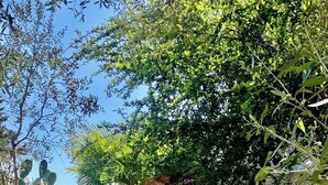 Un jardin avec un banc en pierre, une chaise en osier et un chemin menant à un bâtiment.