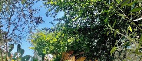Un jardin avec un banc en pierre, une chaise en osier et un chemin menant à un bâtiment.