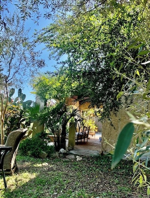 Ein Garten mit einer Steinsitzbank, einem Korbsessel und einem Weg zu einem Gebäude.