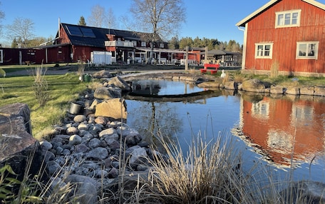 A rustic building with a pond, surrounded by rocks and grass, and a clear blue sky.