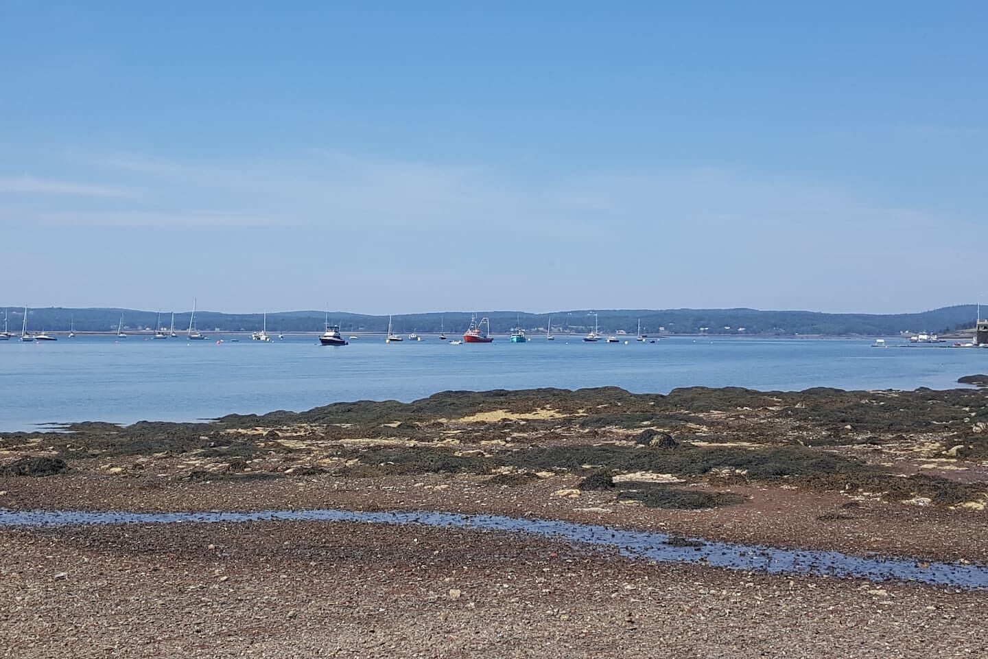 Un paisaje costero con terreno rocoso y una vista despejada del mar.