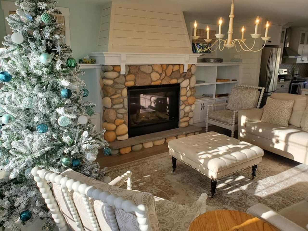 Smart TV, fireplace, books