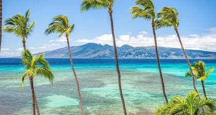 Lush Hilo 2BR with AC near Beaches and Downtown