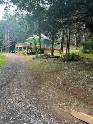 Property grounds - Dome Sweet Dome! (Laurel Fork)