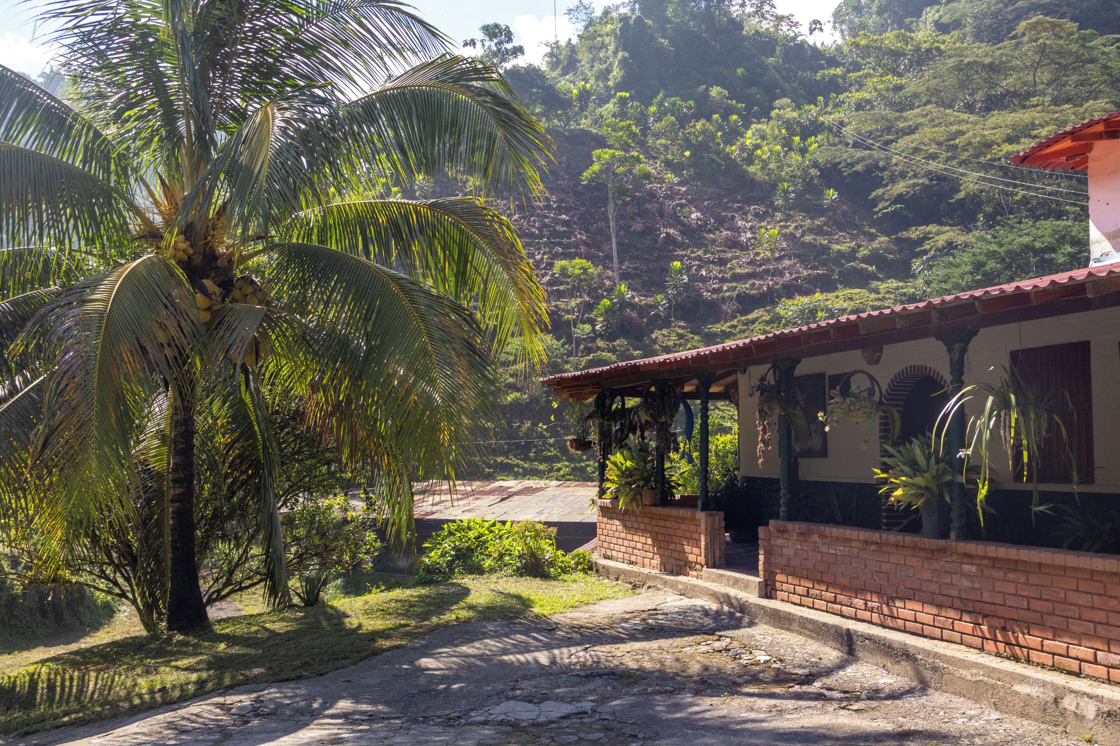 Una casa con fachada de ladrillo, un porche y vistas a una ladera verde y exuberante.