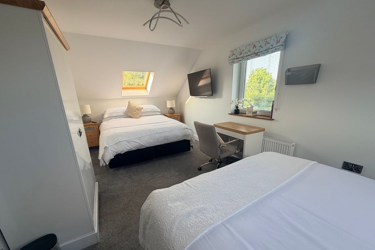 A bedroom with two beds, a desk, a chair, a TV, and a window with a view of trees.