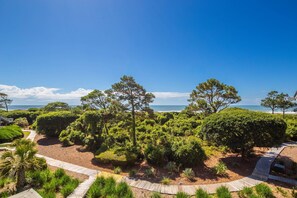 Un jardí ben cuidat amb camins, arbres i vista a l'oceà.