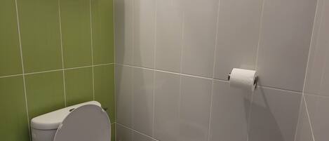A bathroom with a toilet, green and white tiled walls, and a toilet paper holder.