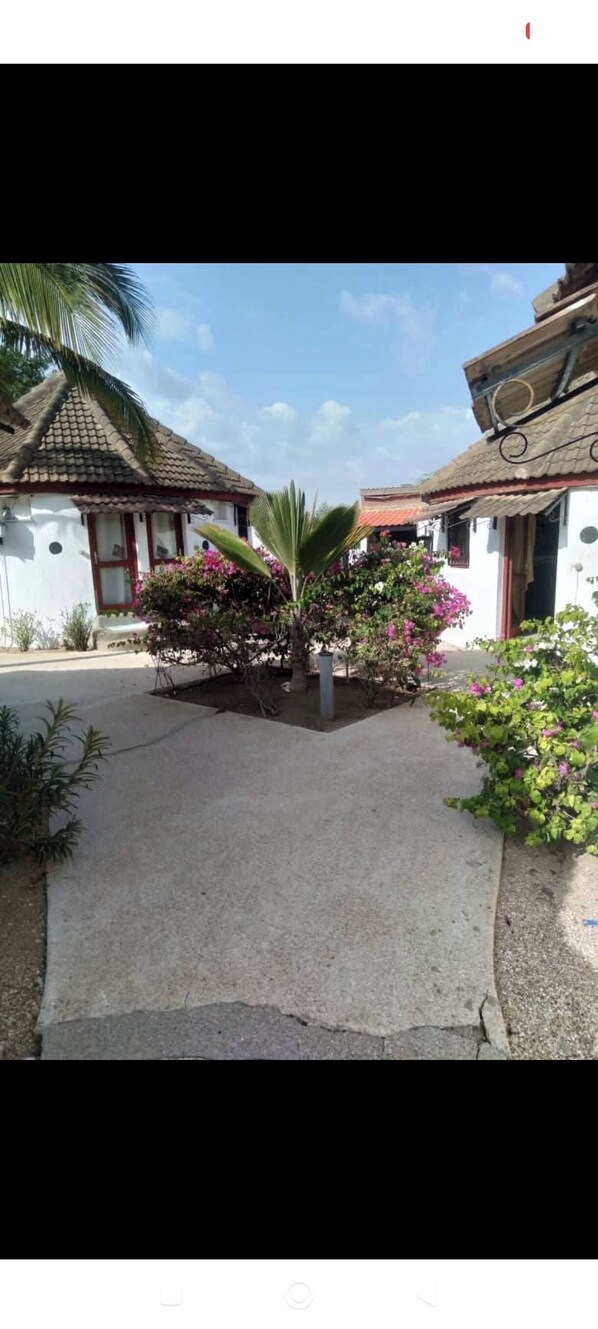 Property grounds - Akwaba (Nianing)
