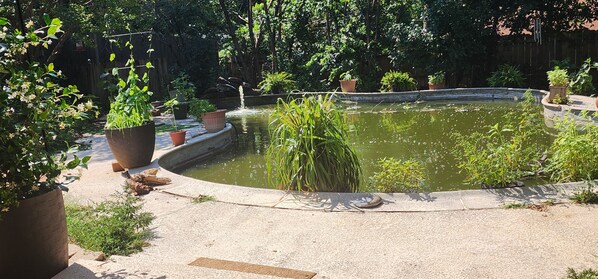 Property grounds - A Place for Peace and HOPE: Tranquil RV in North Richland Hills - Pet Friendly (North Richland Hills)