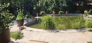 Property grounds - A Place for Peace and HOPE: Tranquil RV in North Richland Hills - Pet Friendly (North Richland Hills)