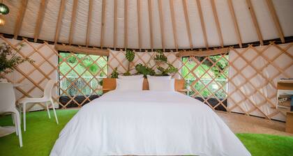 The black Yurt