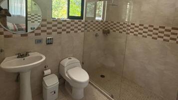 Shower, towels, soap, toilet paper