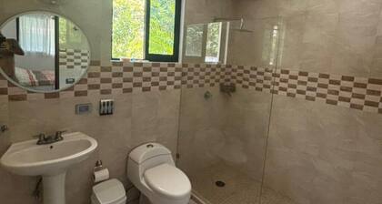Luxury Cabins with Private Cenote, Pool and A/C in the Jungle
