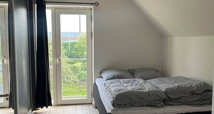 Bright cozy apartment near the center