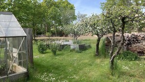 Et drivhus, en stenvæg og et græsområde med træer.