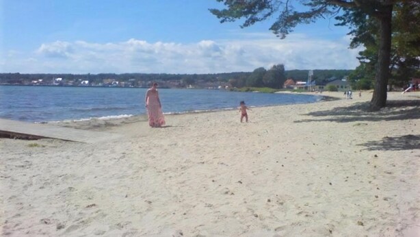 Uma praia com areal, uma árvore grande e um corpo d'água.