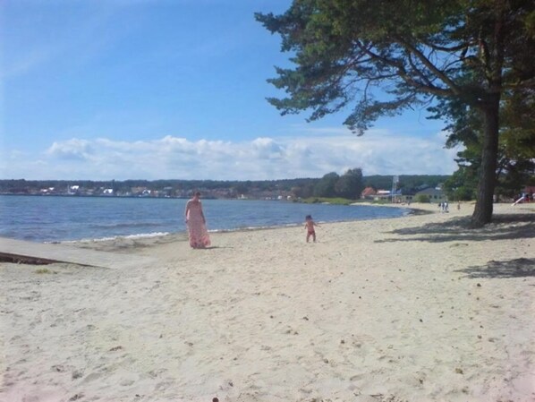 Ein Strand mit sandigem Ufer, ein großer Baum und ein Gewässer.