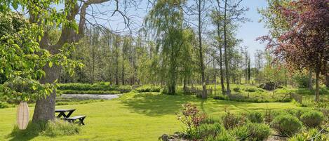 Ein ruhiger Park mit Picknicktischen, verschiedenen Bäumen und einem gepflegten Rasen.