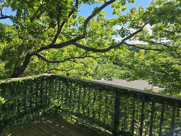 Um deck de madeira com guarda-corpo de metal, rodeado por vegetação verde exuberante e árvores.