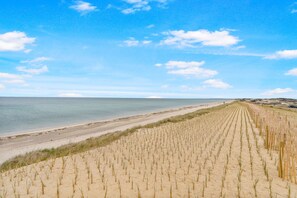Ein Strand mit angelegten Dünen und blauem Himmel.