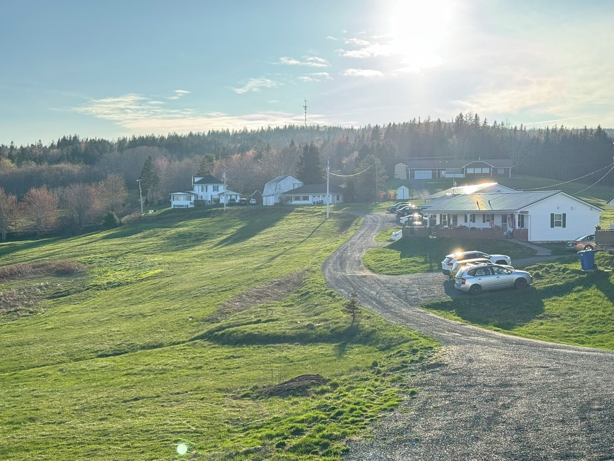 A rural road with houses on either side, a clear sky, and a forest in the background.