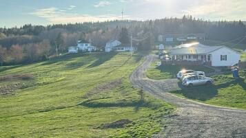 A rural road with houses on either side, a clear sky, and a forest in the background.