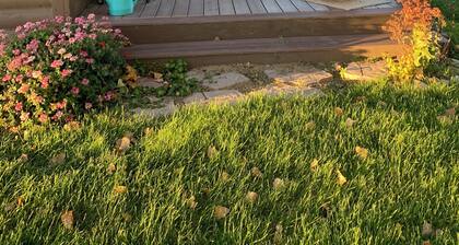 Cozy 2 bedroom cabin! Country charm with comfort and scenery!