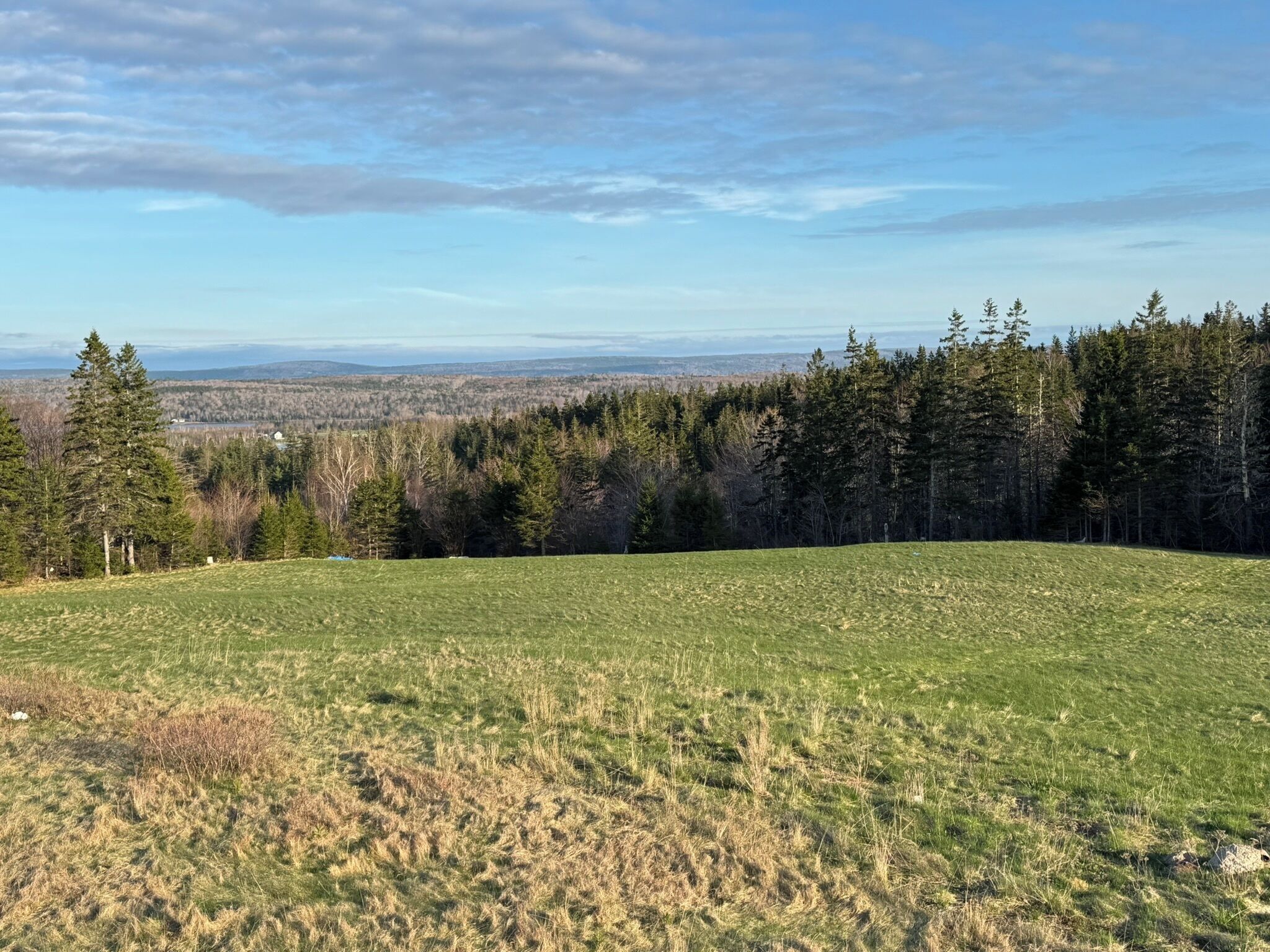 Un champ verdoyant, avec une forêt en arrière-plan et un ciel dégagé.