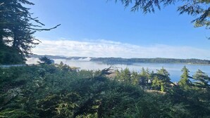 Un paysage naturel caractérisé par une forêt dense, un lac et des collines qui se dessinent à l’horizon.