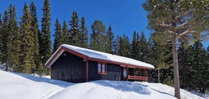 A cabin with a red roof and dark siding, surrounded by snow and tall pine trees.