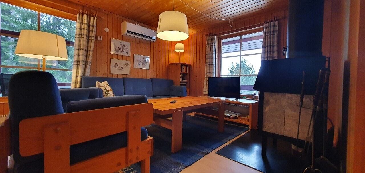 Fernseher, Kamin