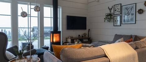 Fernseher, Kamin