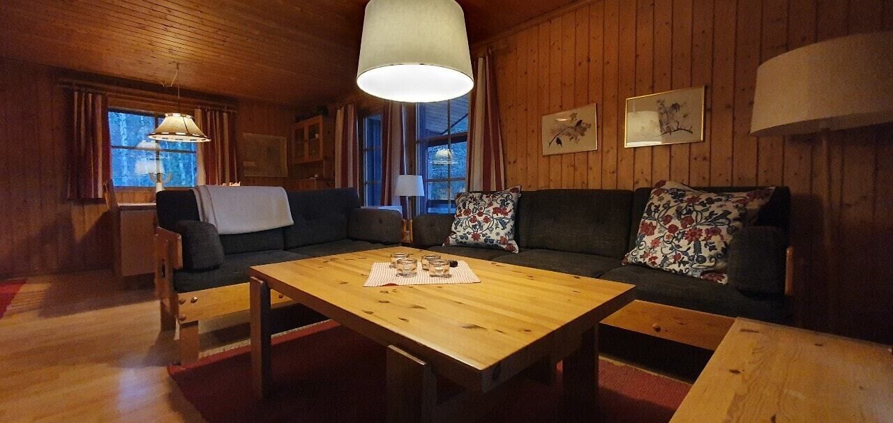 Fernseher, Kamin