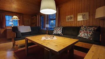 Fernseher, Kamin